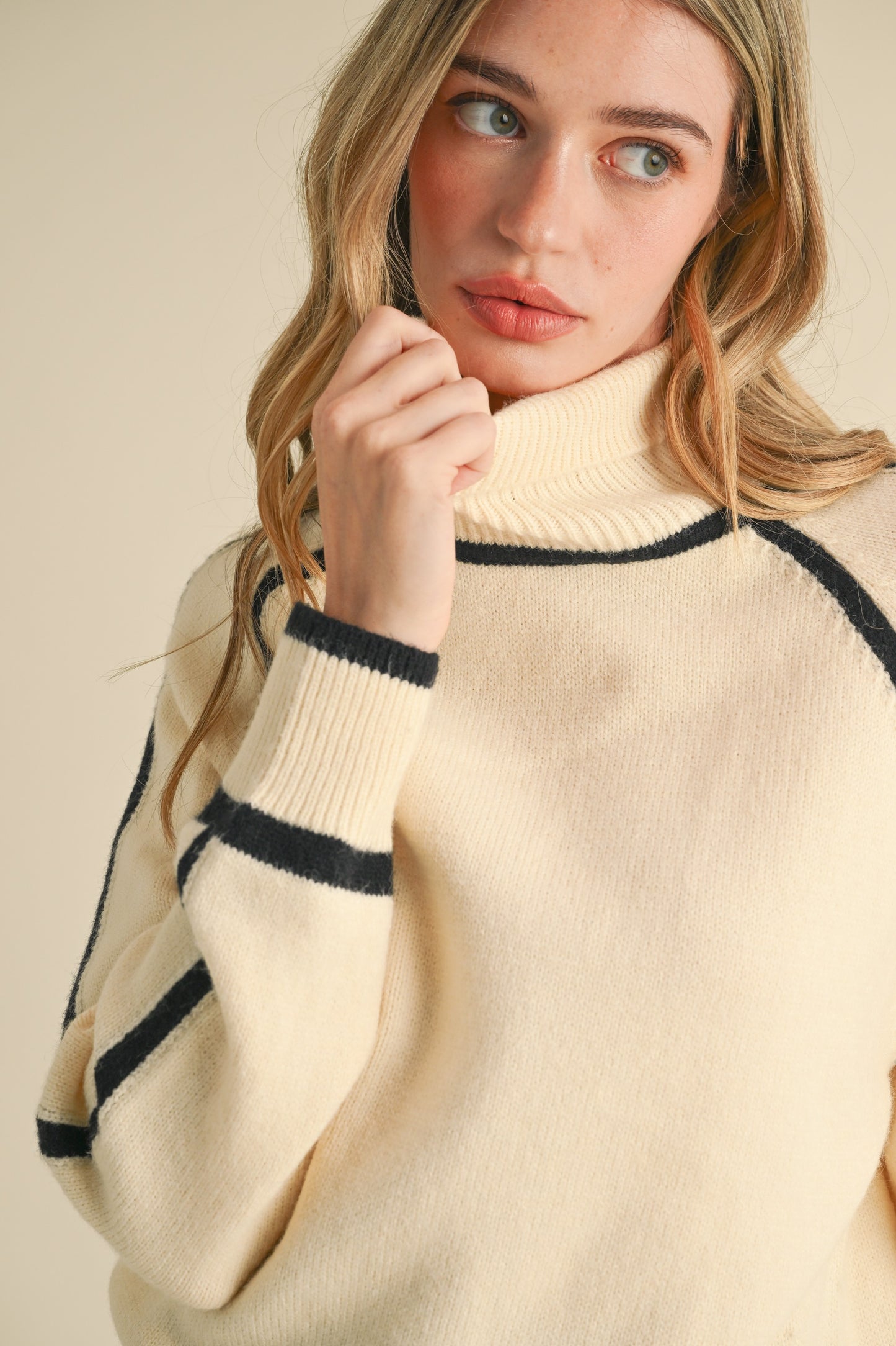 Contrast Trim Turtleneck Sweater