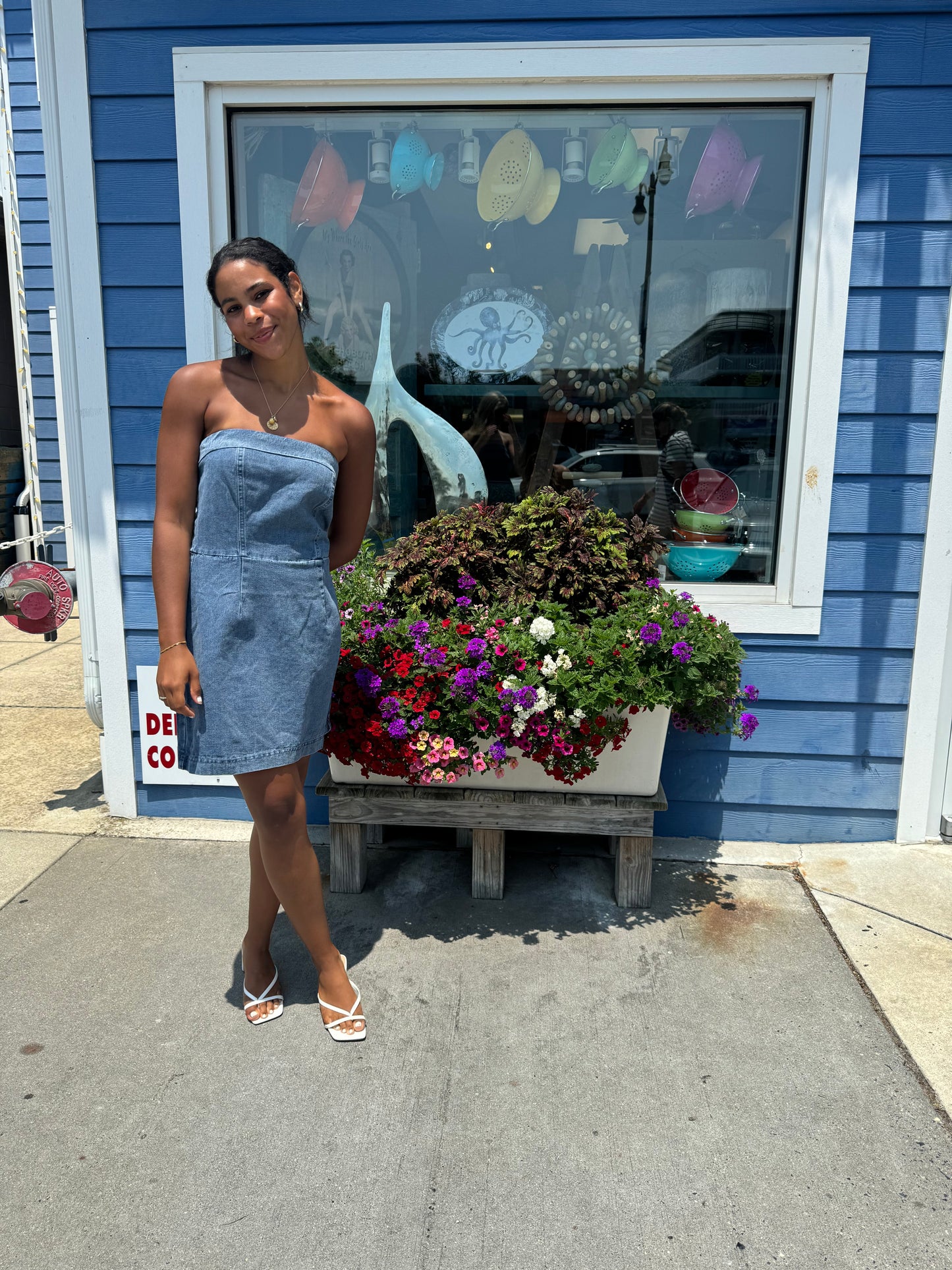 Tank Top Back Smocking Denim Dress