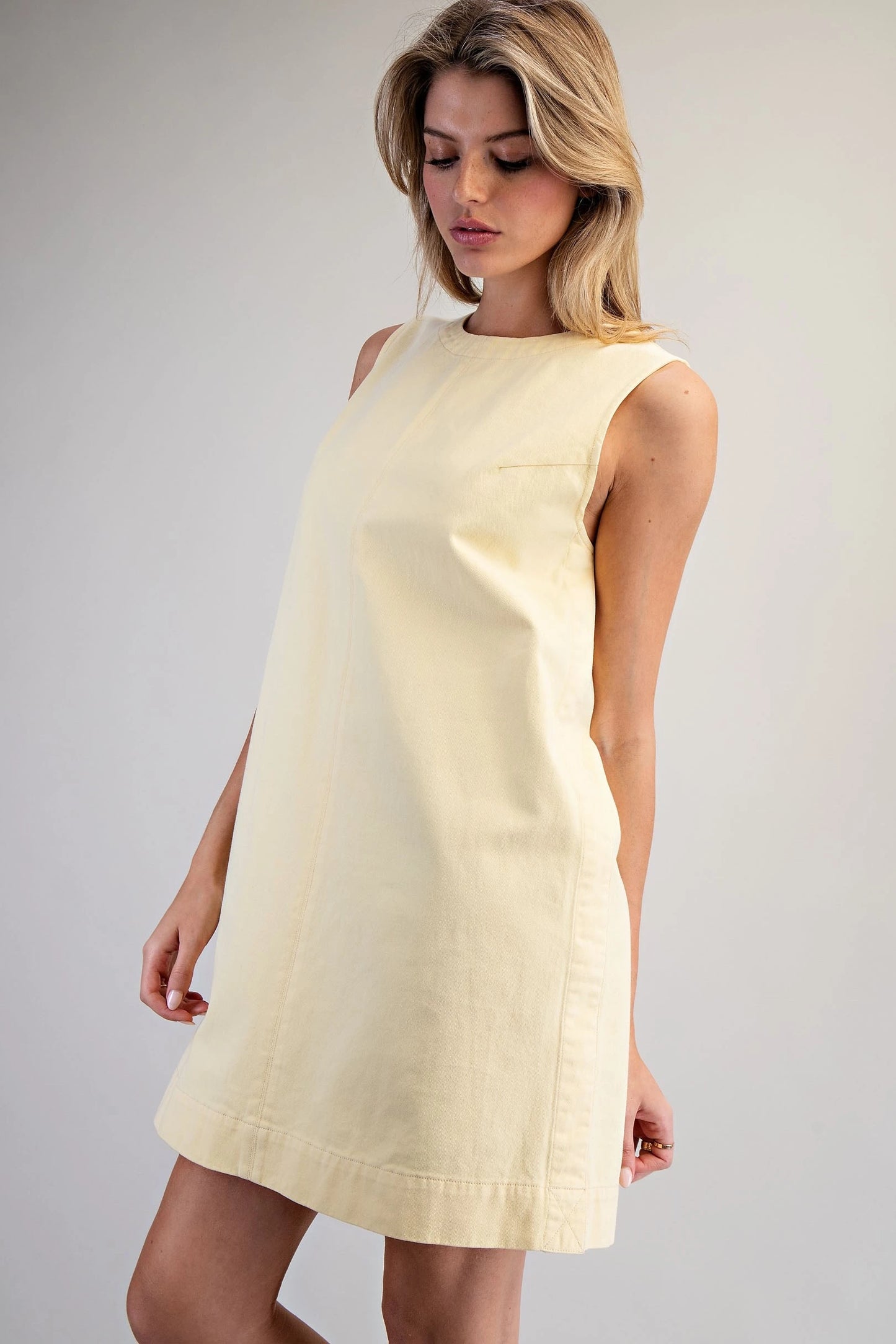 Sleeveless Back Zip Mini Dress