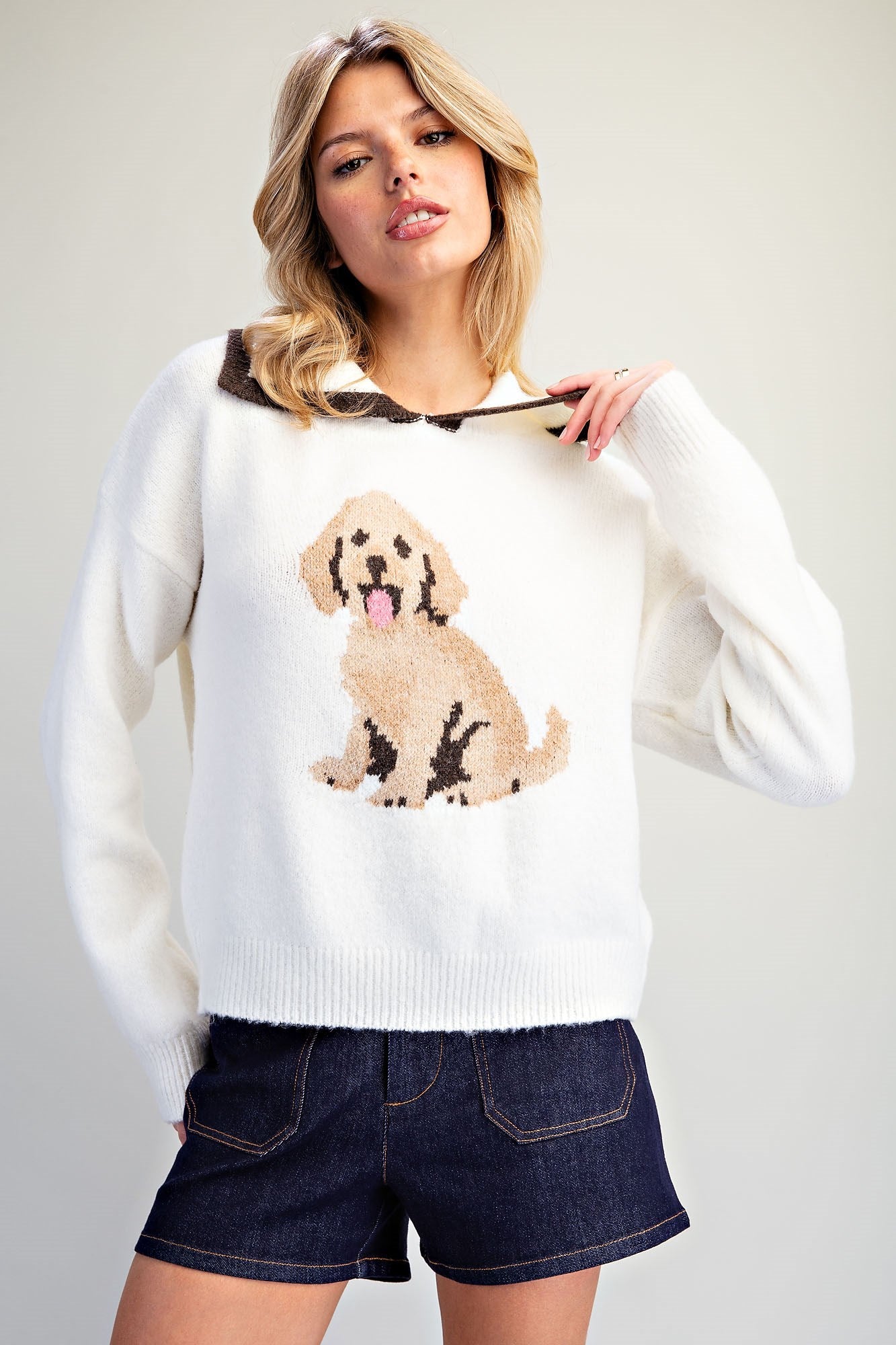 Puppy Graphic Contrast Collar Sweater