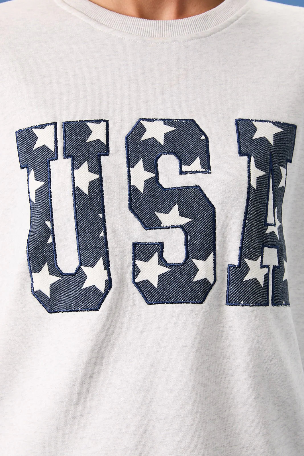 USA Embroidery Sweatshirt