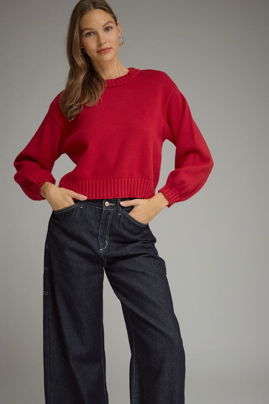 Smocked Cuff Cropped Knit Top